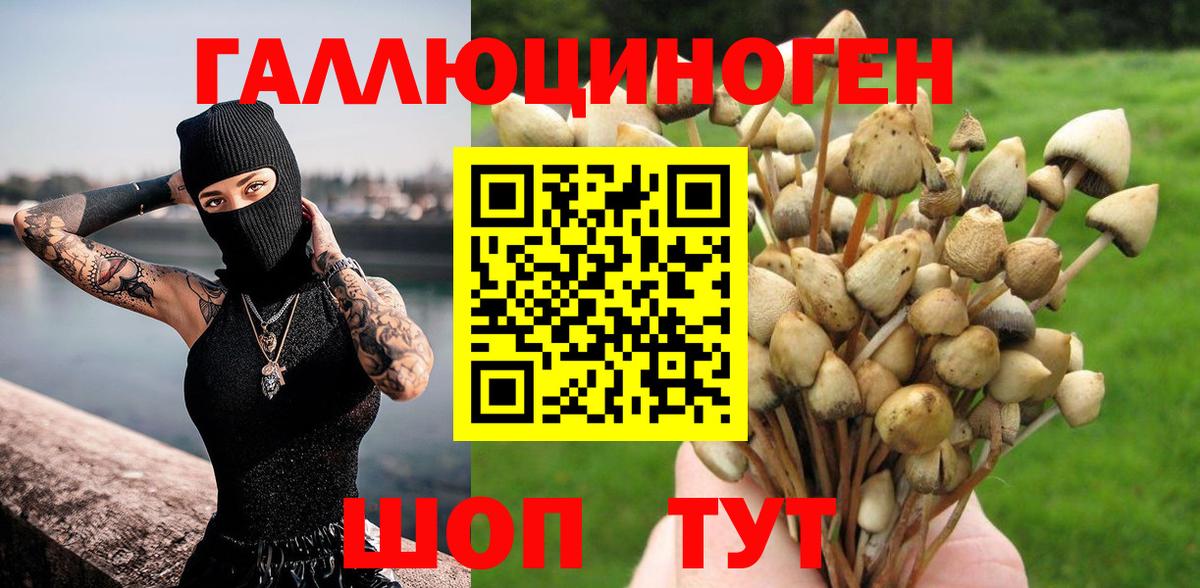 Псилоцибиновые грибы Psilocybe Нефтеюганск