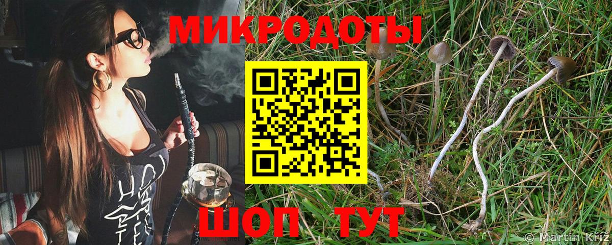 Нефтеюганск  Псилоцибиновые грибы ЛСД  где купить   Псилоцибиновые грибы мухоморы  Вход с VPN 